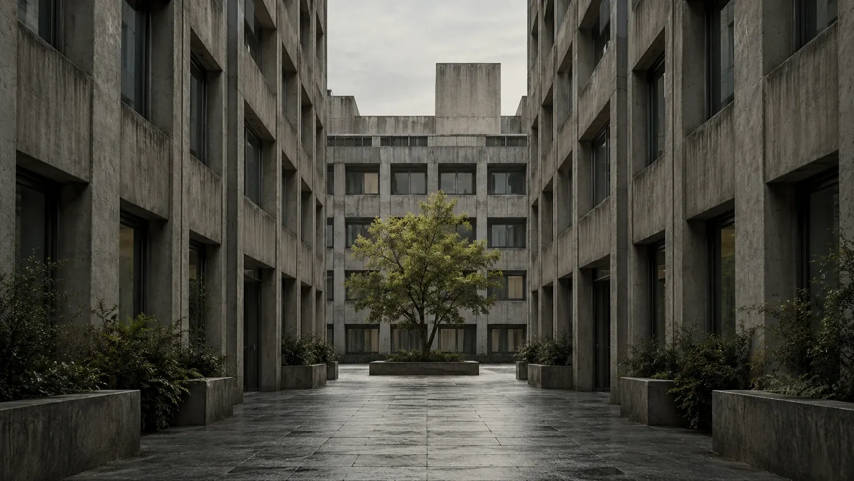 Conceptual illustration of a symmetrical concrete courtyard with a small green tree